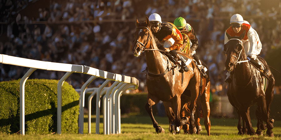 casas-de-apuestas-carreras-de-caballos-3
